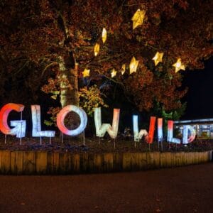 Glow Wild at Wakehurst