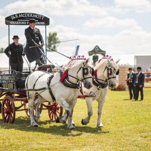 Kent County Show at Detling